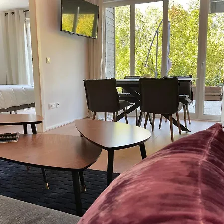 Le Safran Apartmán Obernai
