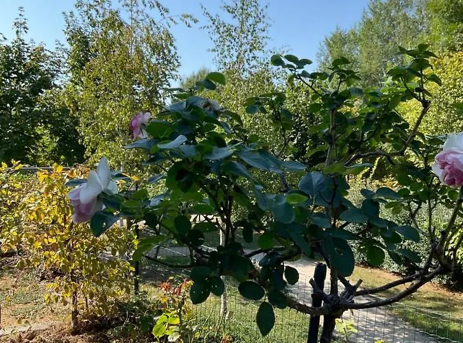 公寓 Le Safran 奥贝奈